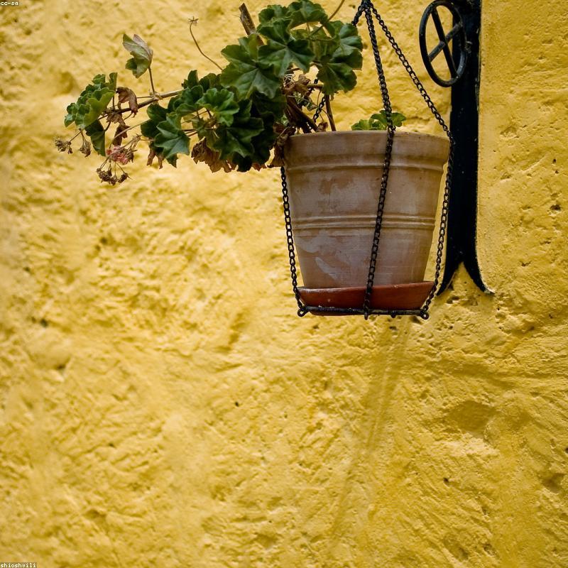 Ceramic Hanging Planter — Set of 2