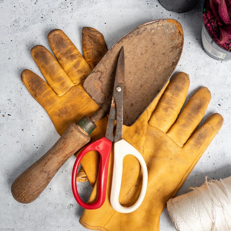 Plant Care Kit — Fertiliser & Tools